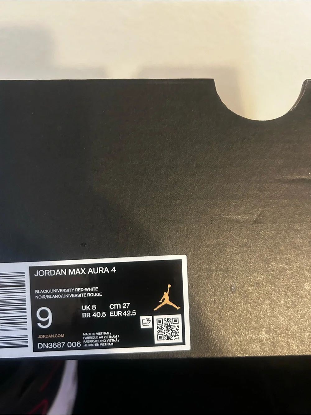 Jordan iconic design